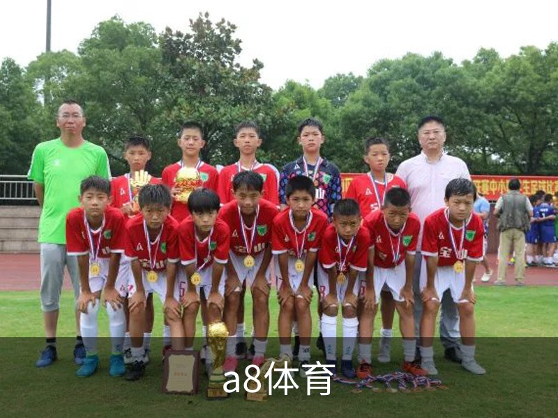 a8体育介绍
